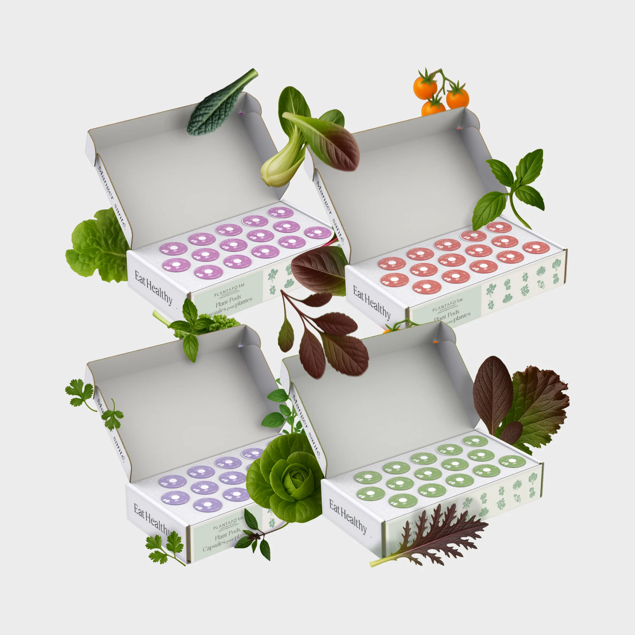 1-Year Kit - Image 3