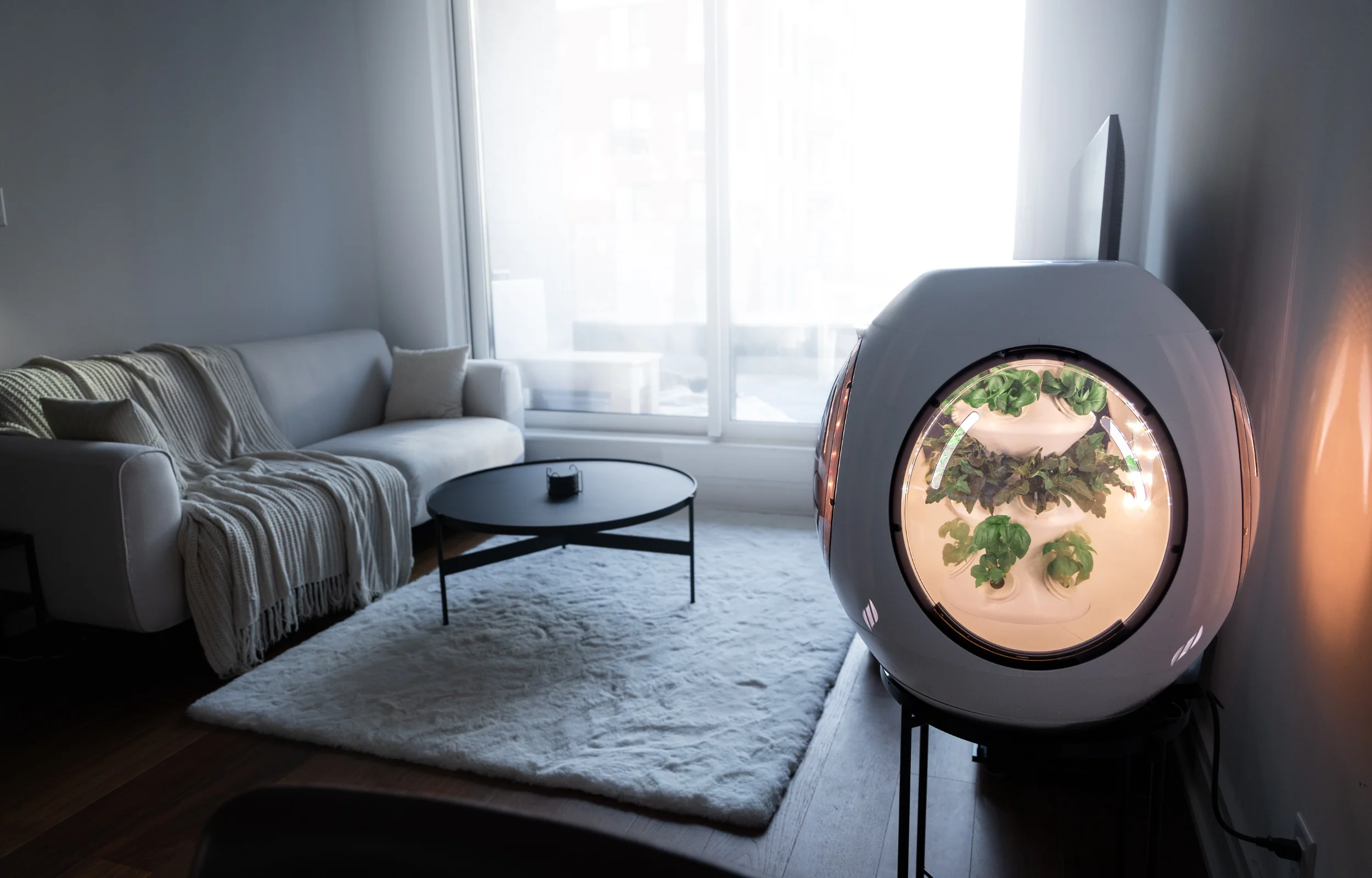 Smart Indoor Garden - BOGO Bundle - Image 11