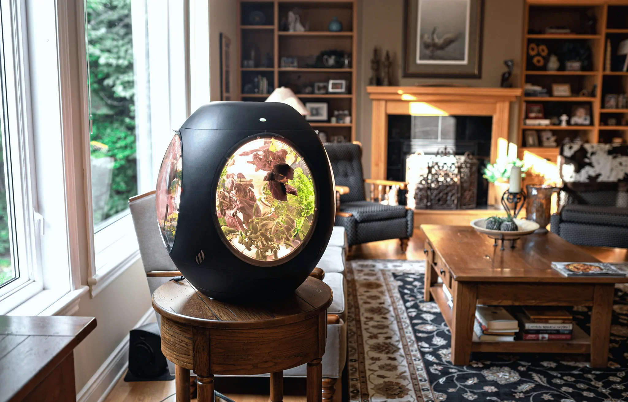 Smart Indoor Garden - BOGO Bundle - Image 12