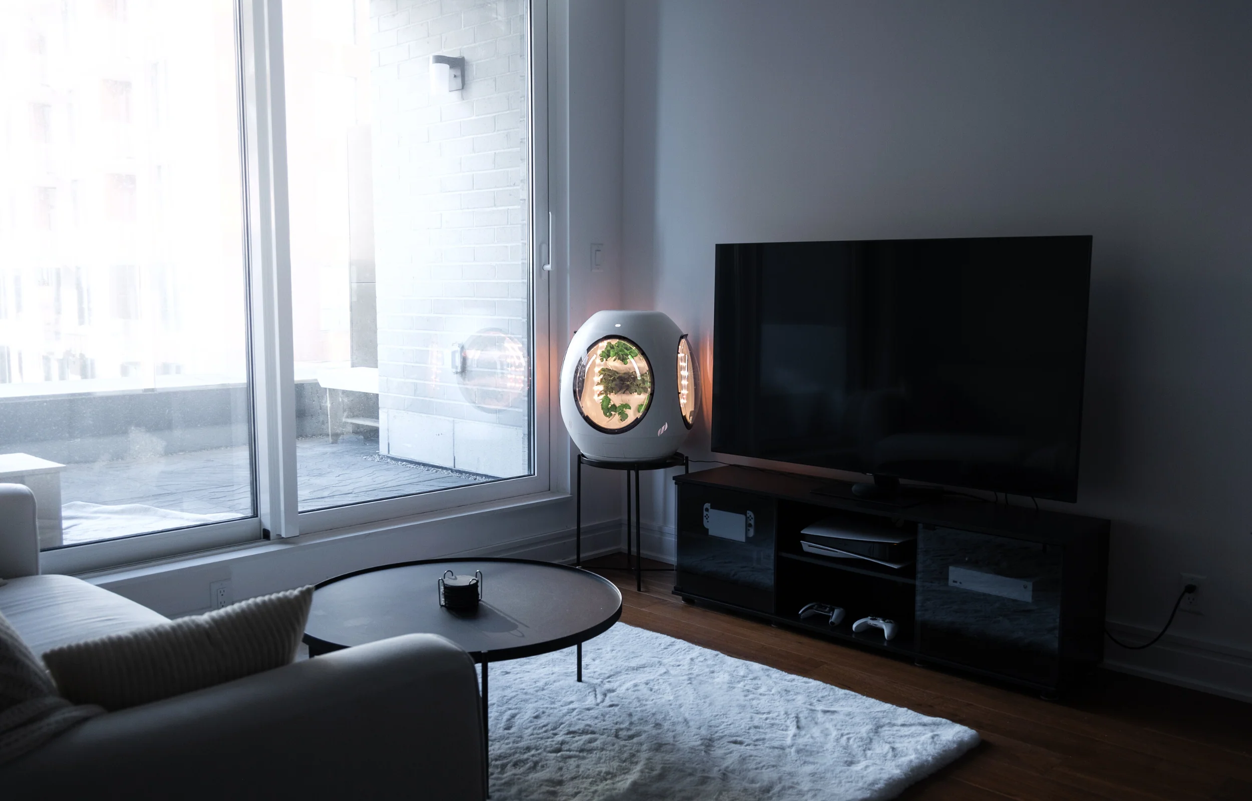 Smart Indoor Garden - BOGO Bundle - Image 14