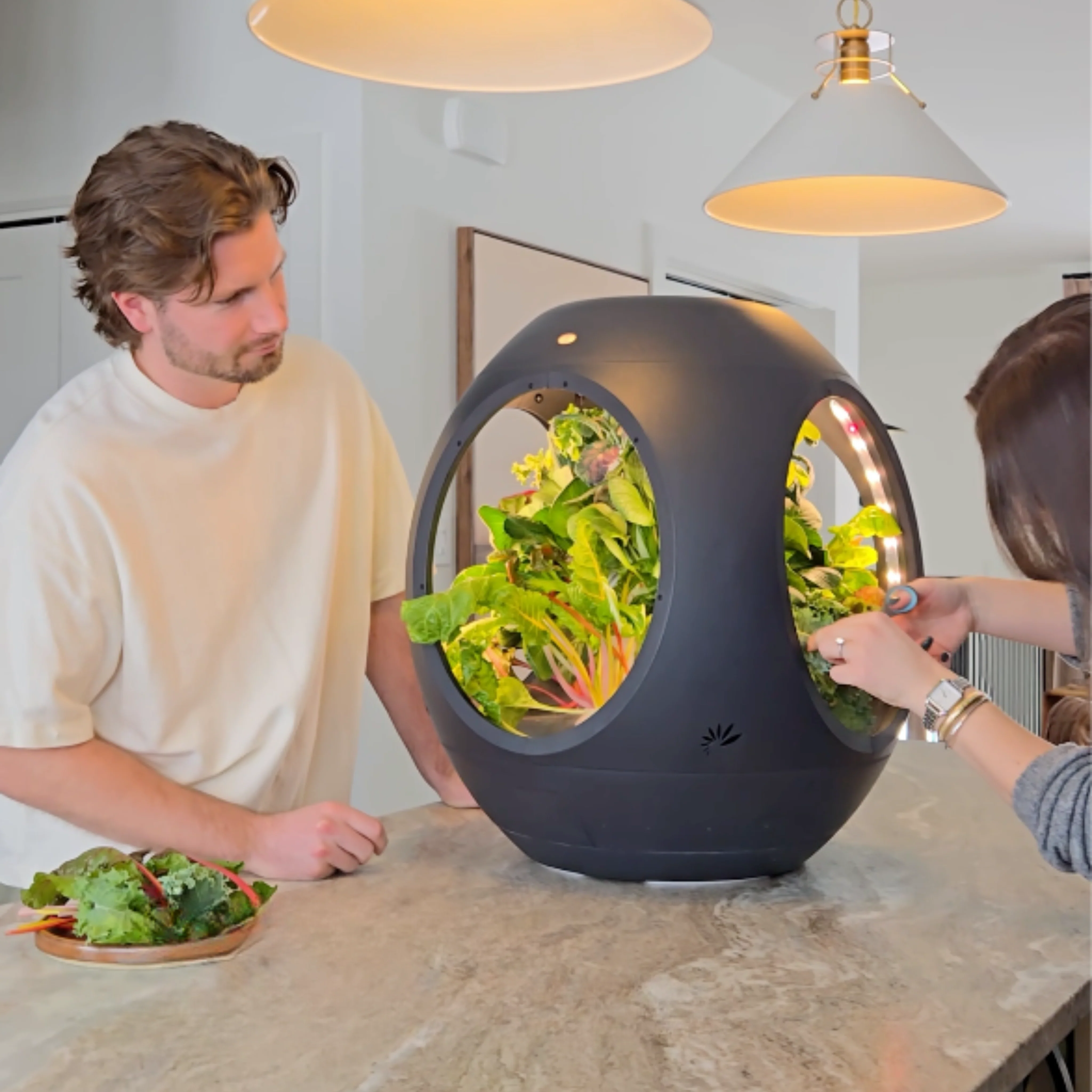 Smart Indoor Garden - BOGO Bundle - Image 7