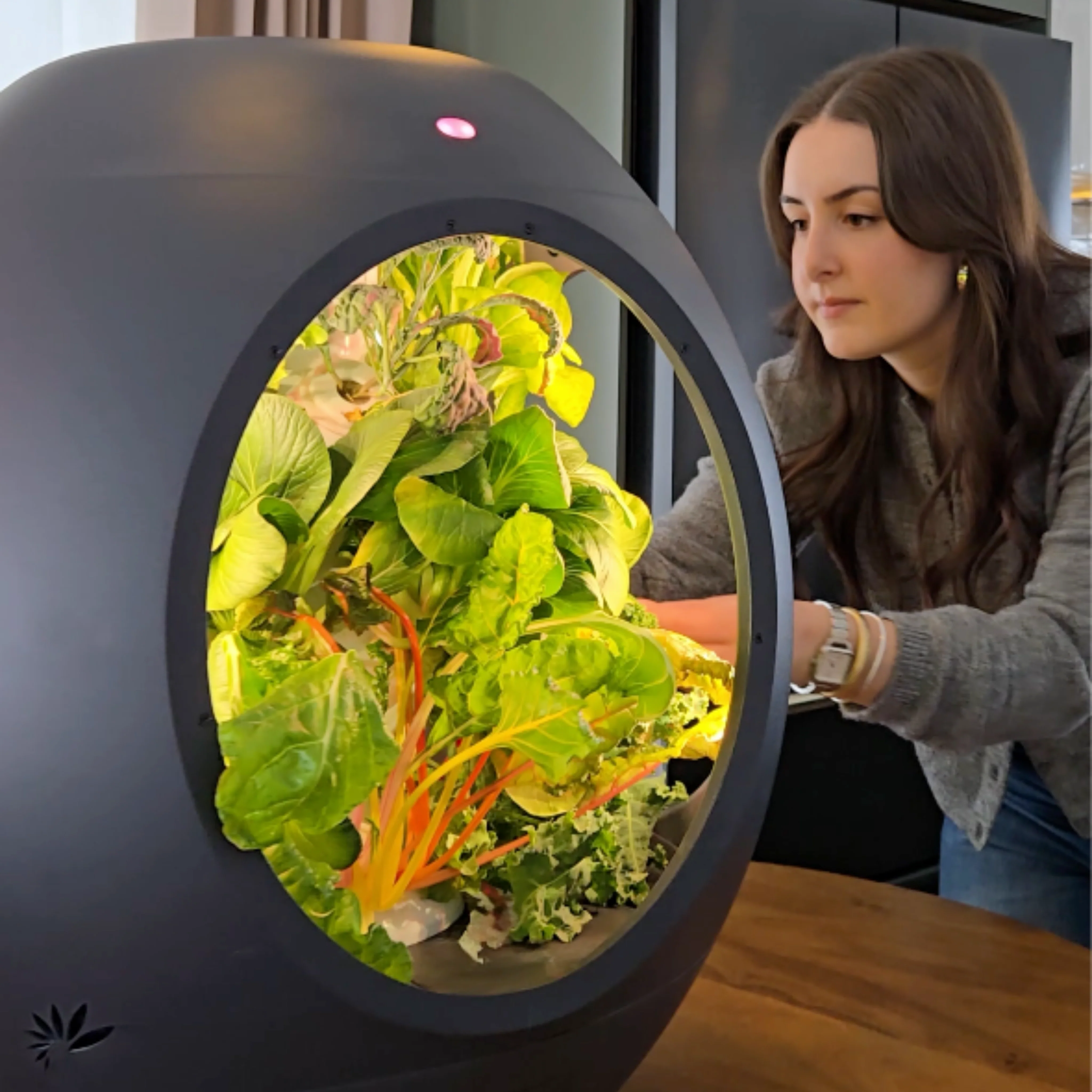 Smart Indoor Garden - BOGO Bundle - Image 8