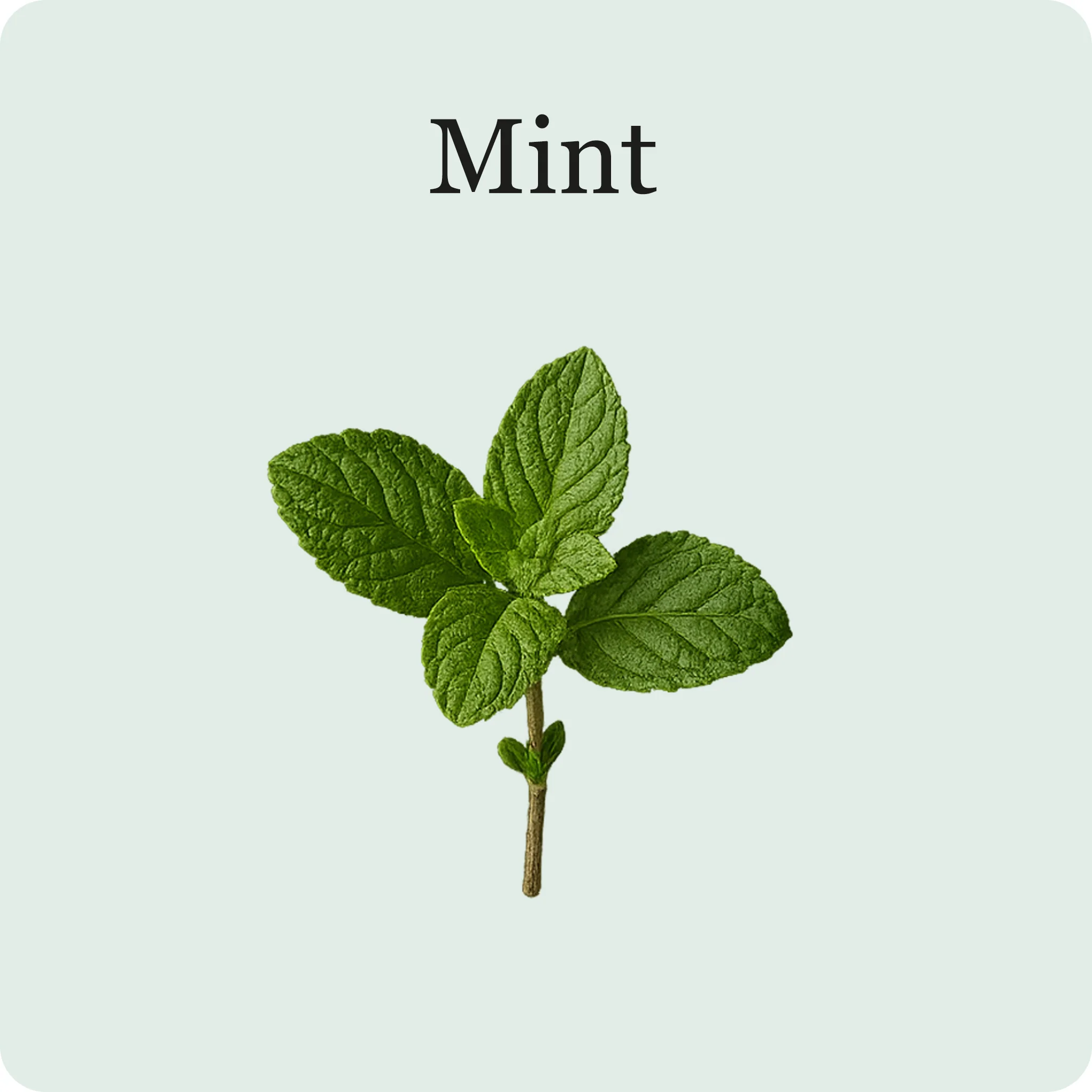 Cocktail Mix - Image 3