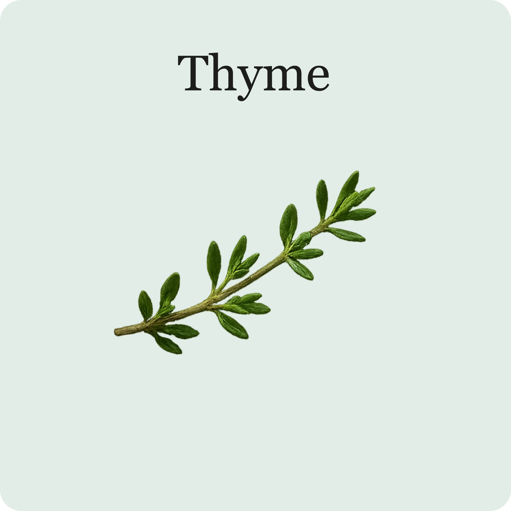 Cocktail Mix - Image 4