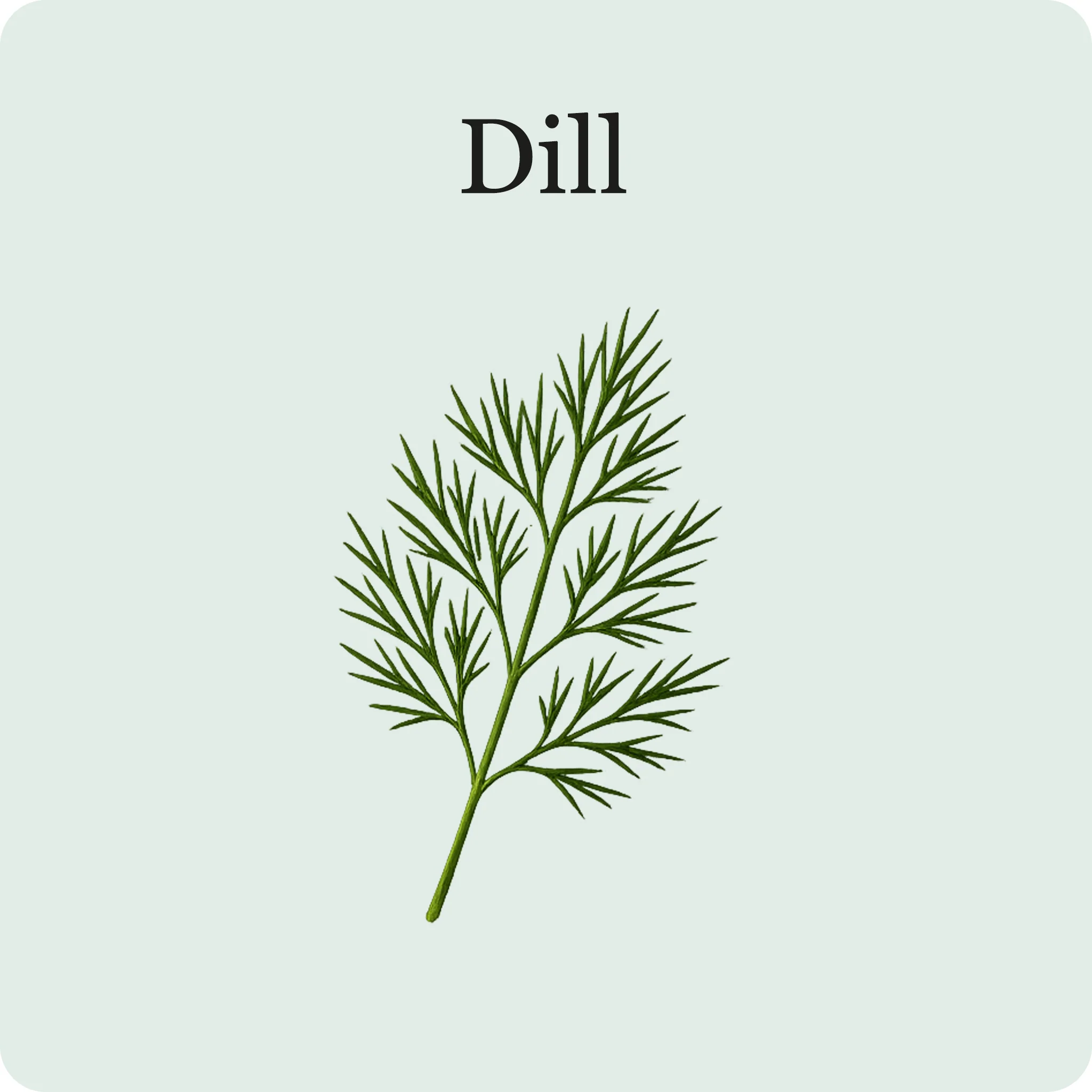 Cocktail Mix - Image 5