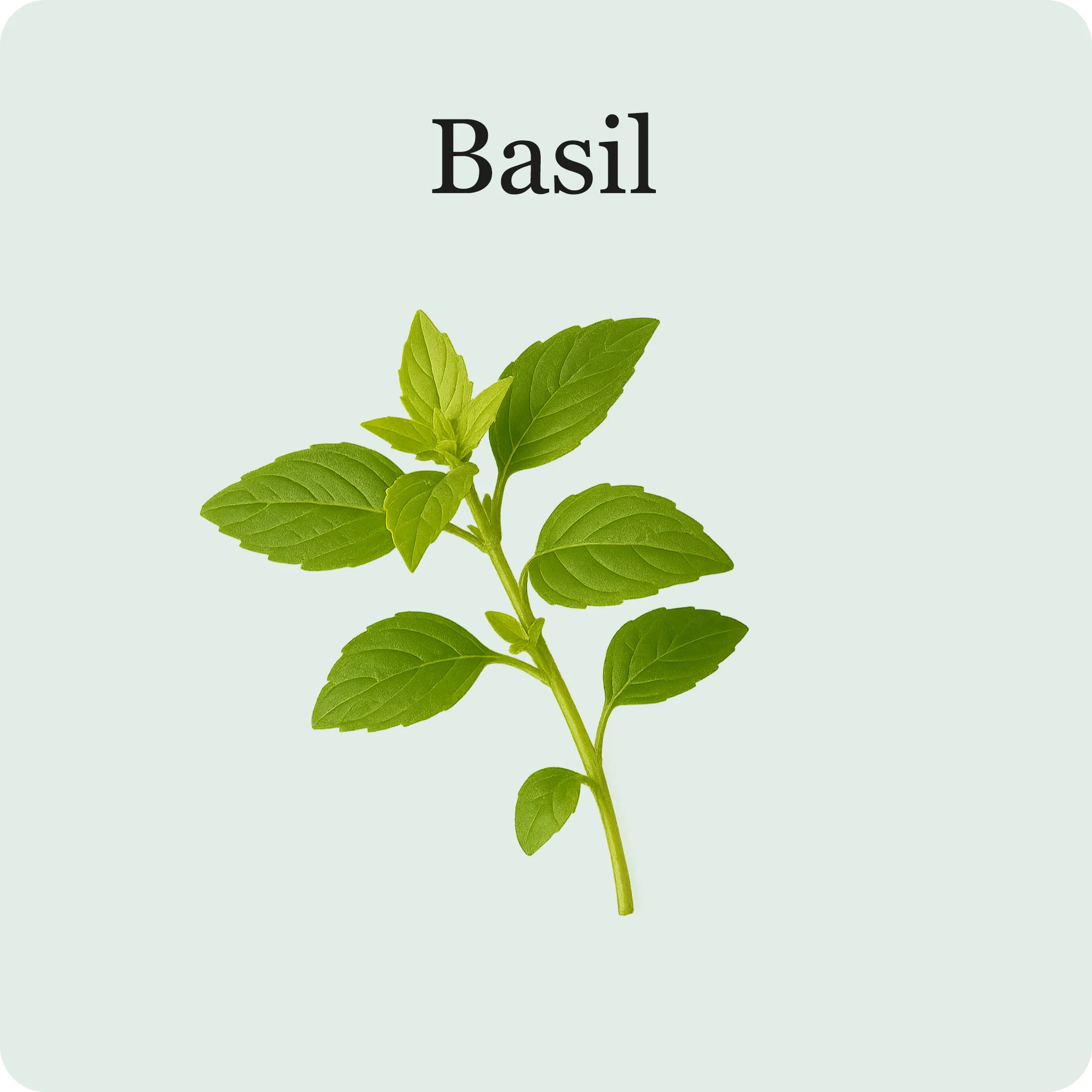 Cocktail Mix - Image 6