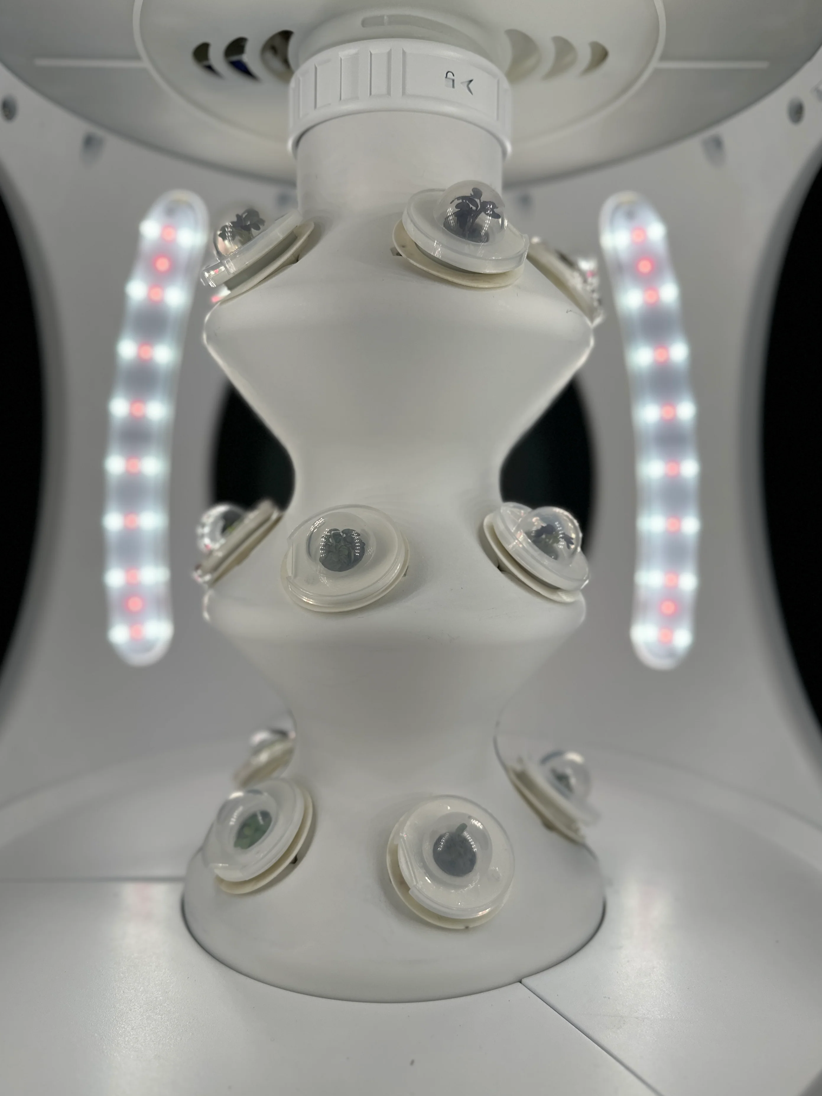 Germination Domes (Set of 15) - Image 4