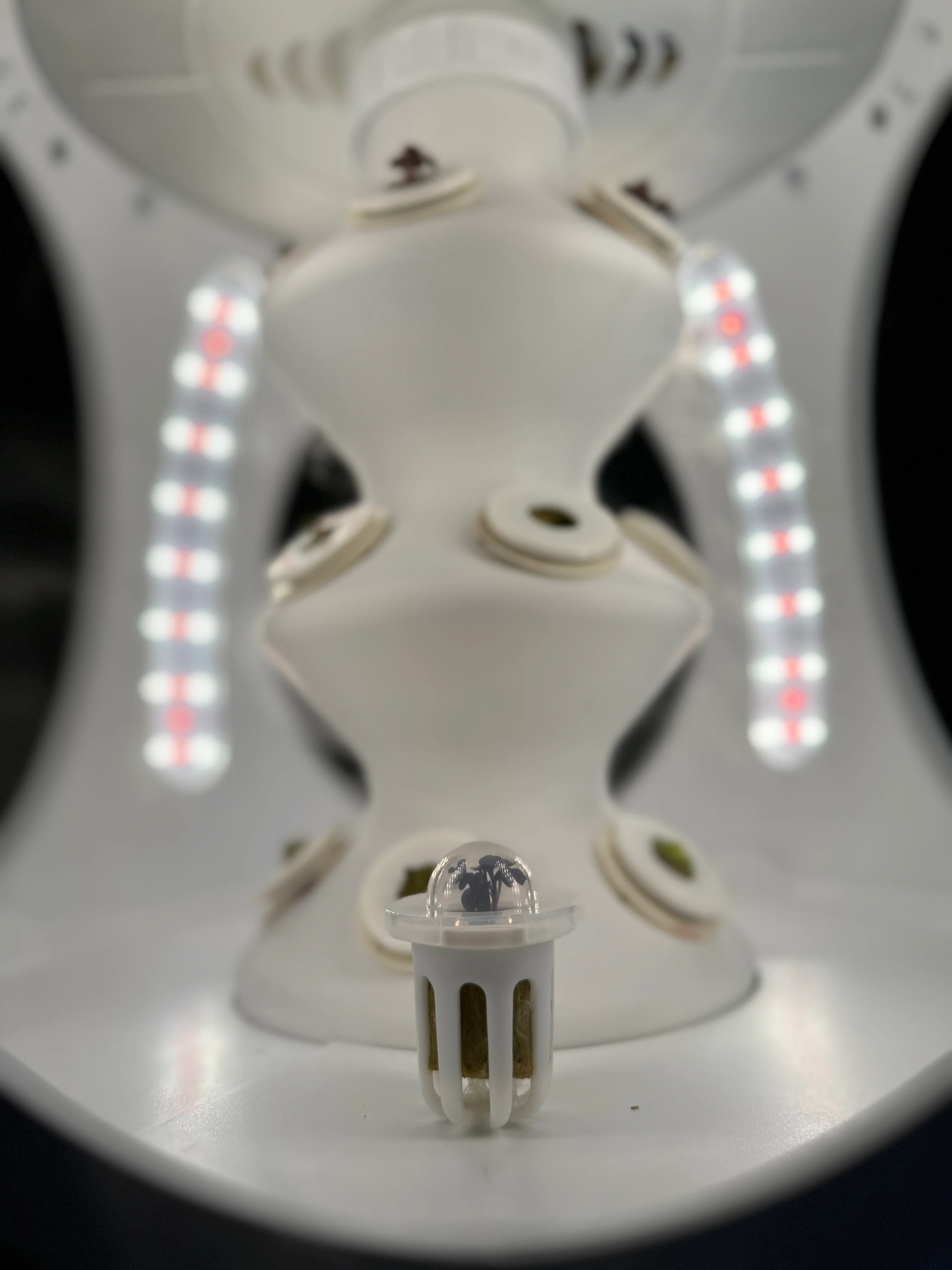 Germination Domes (Set of 15) - Image 5