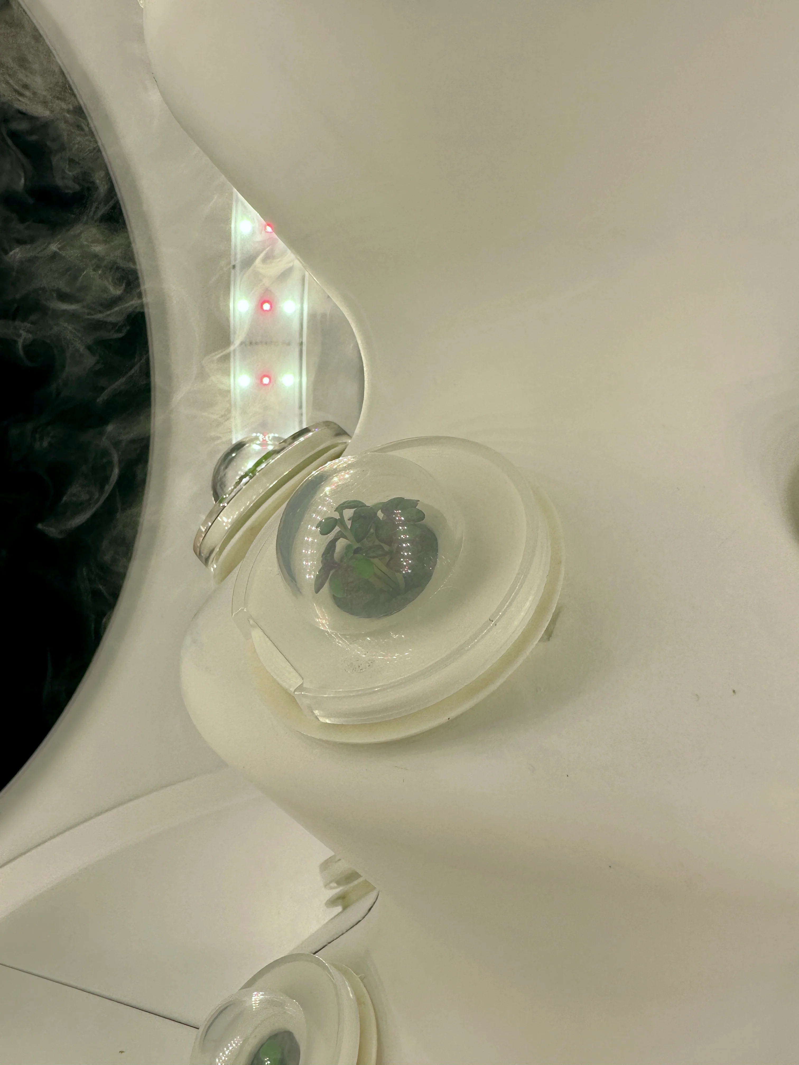 Germination Domes (Set of 15) - Image 6