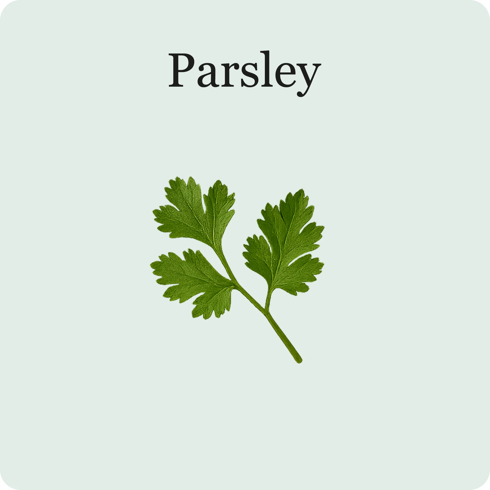 Herb Essentials - Image 5