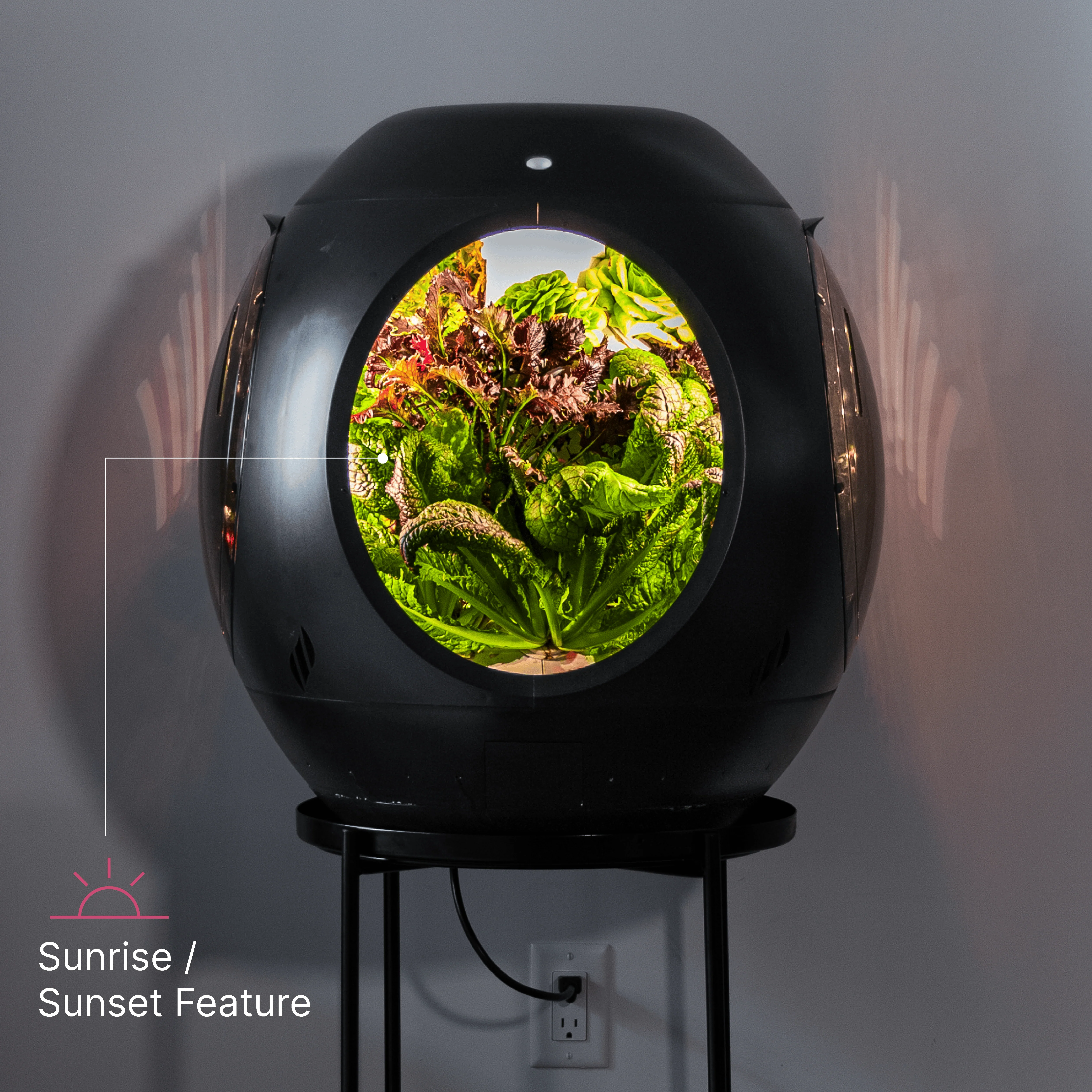 Smart Indoor Garden - Image 10