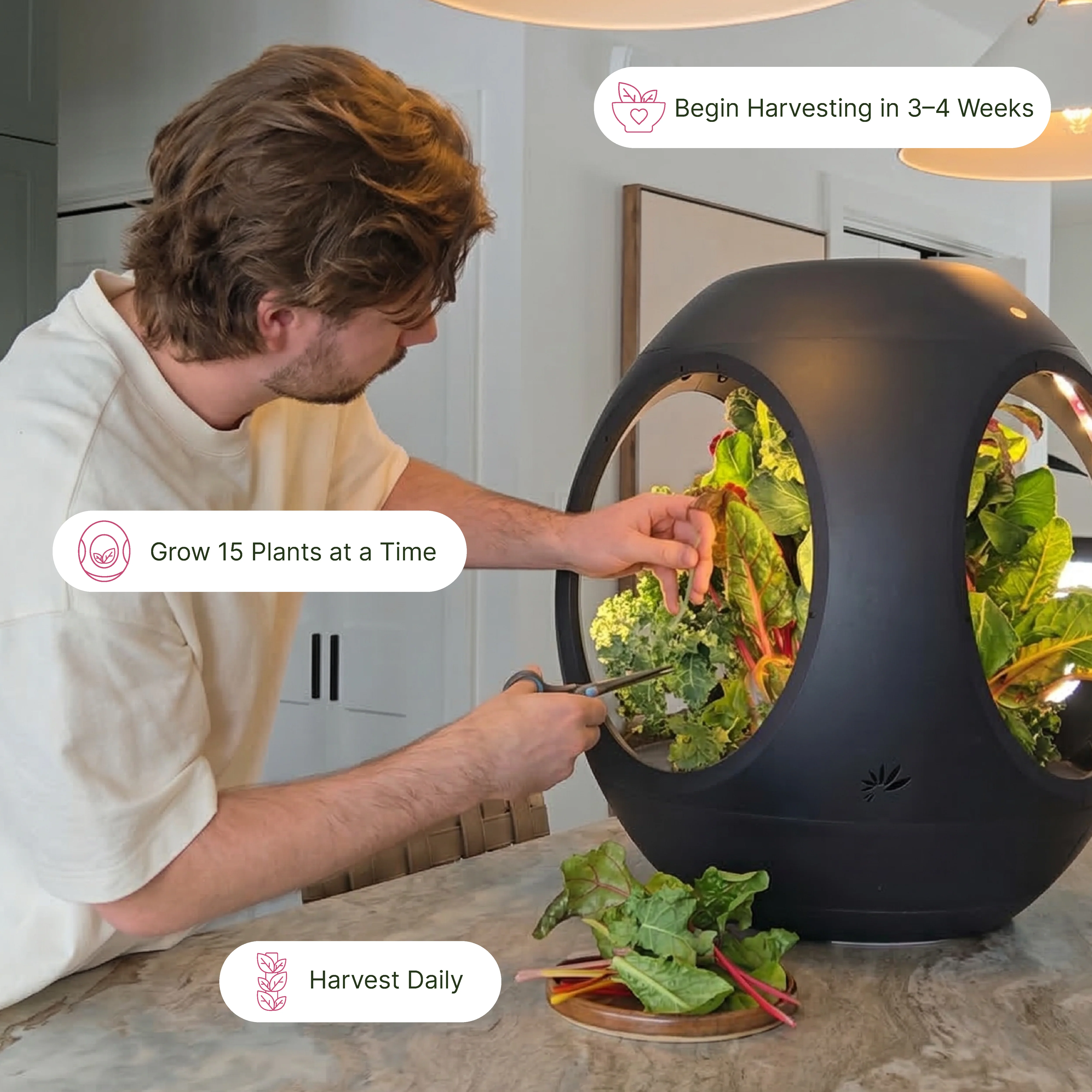 Smart Indoor Garden - Image 4