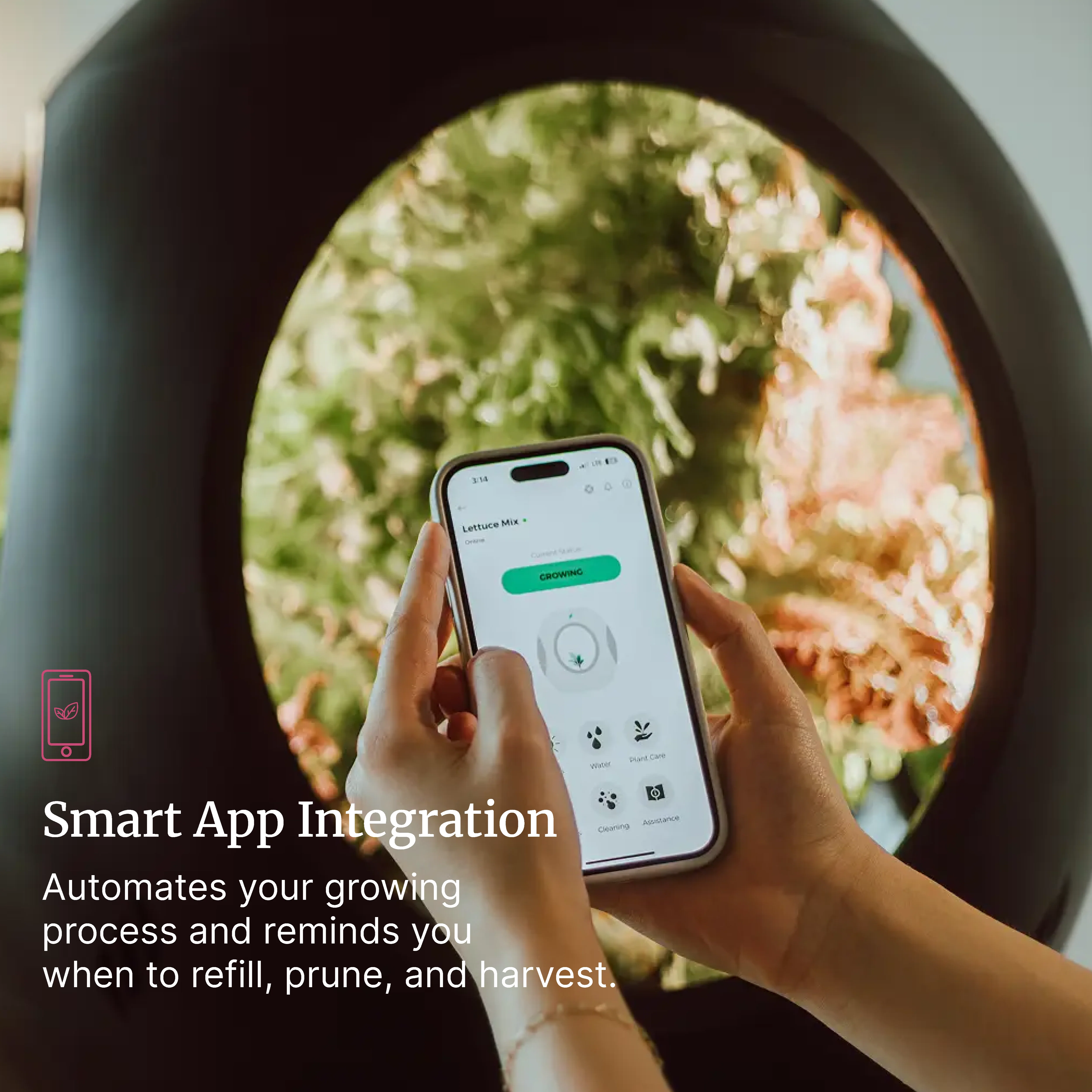 Smart Indoor Garden - Image 7