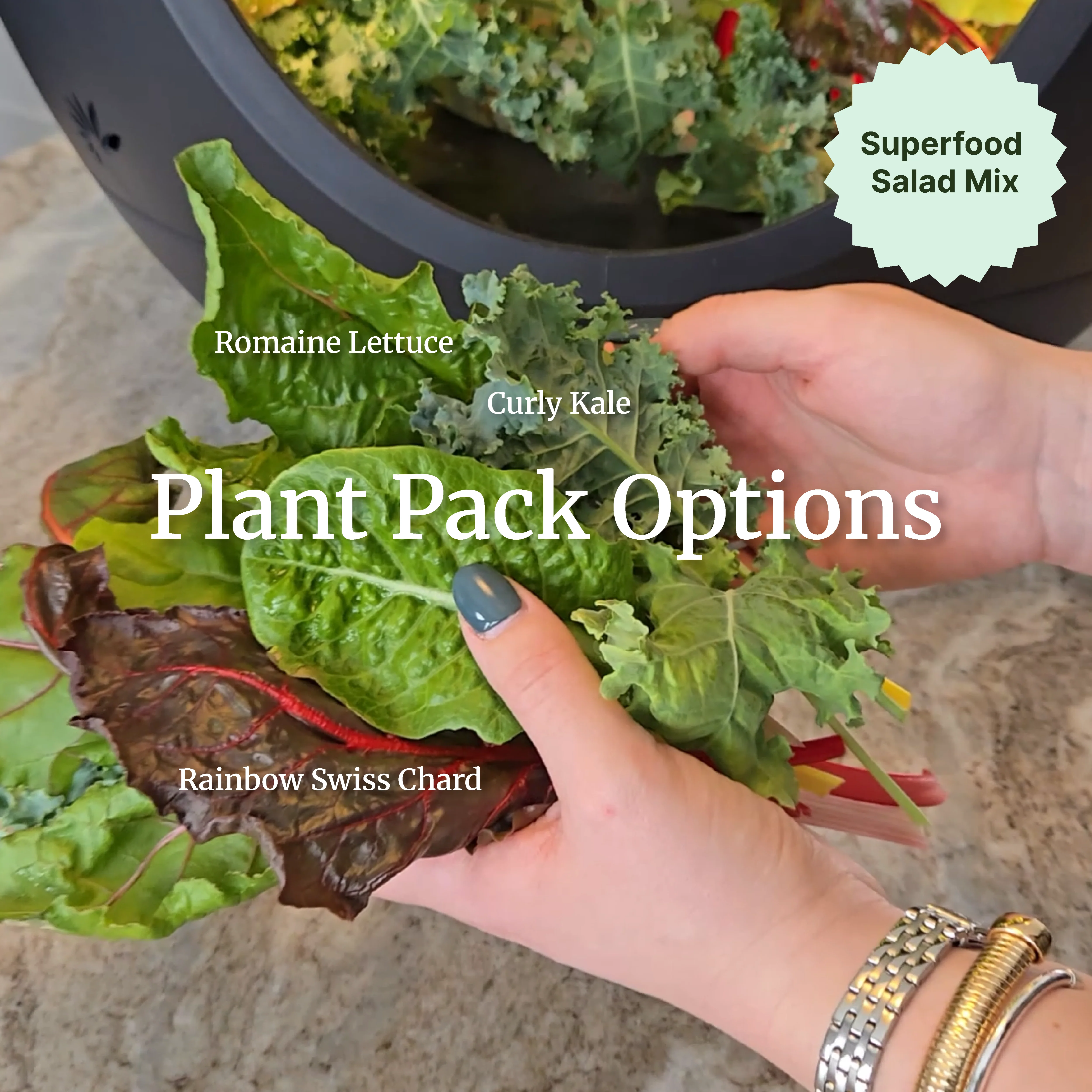 Smart Indoor Garden - Image 8