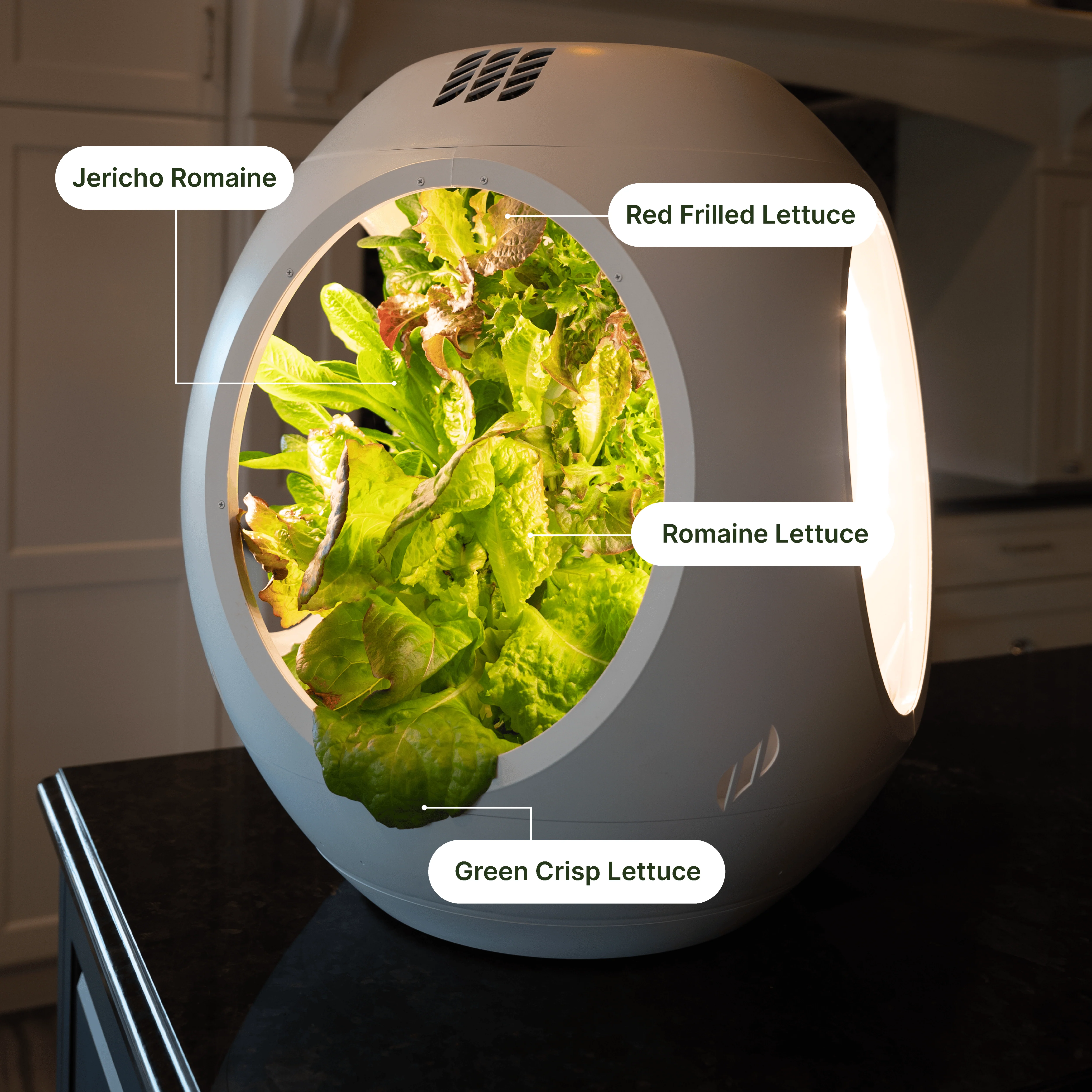 Smart Indoor Garden - Image 9