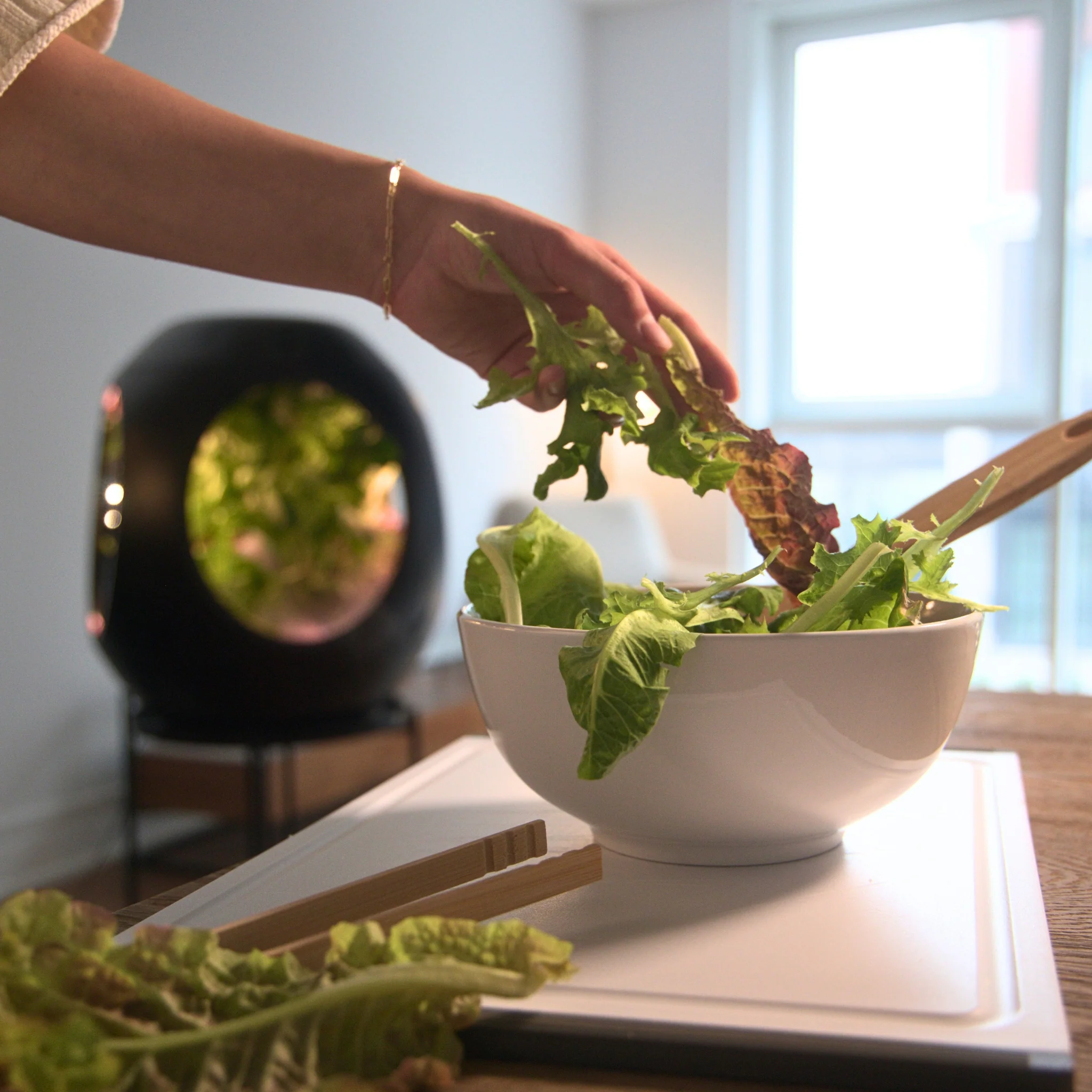 Plantaform EcoSchools Indoor Garden - Image 10