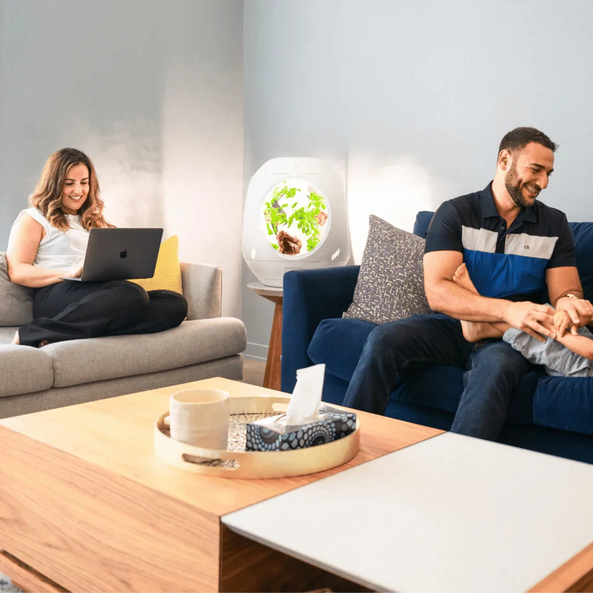 Smart Indoor Garden - Image 17