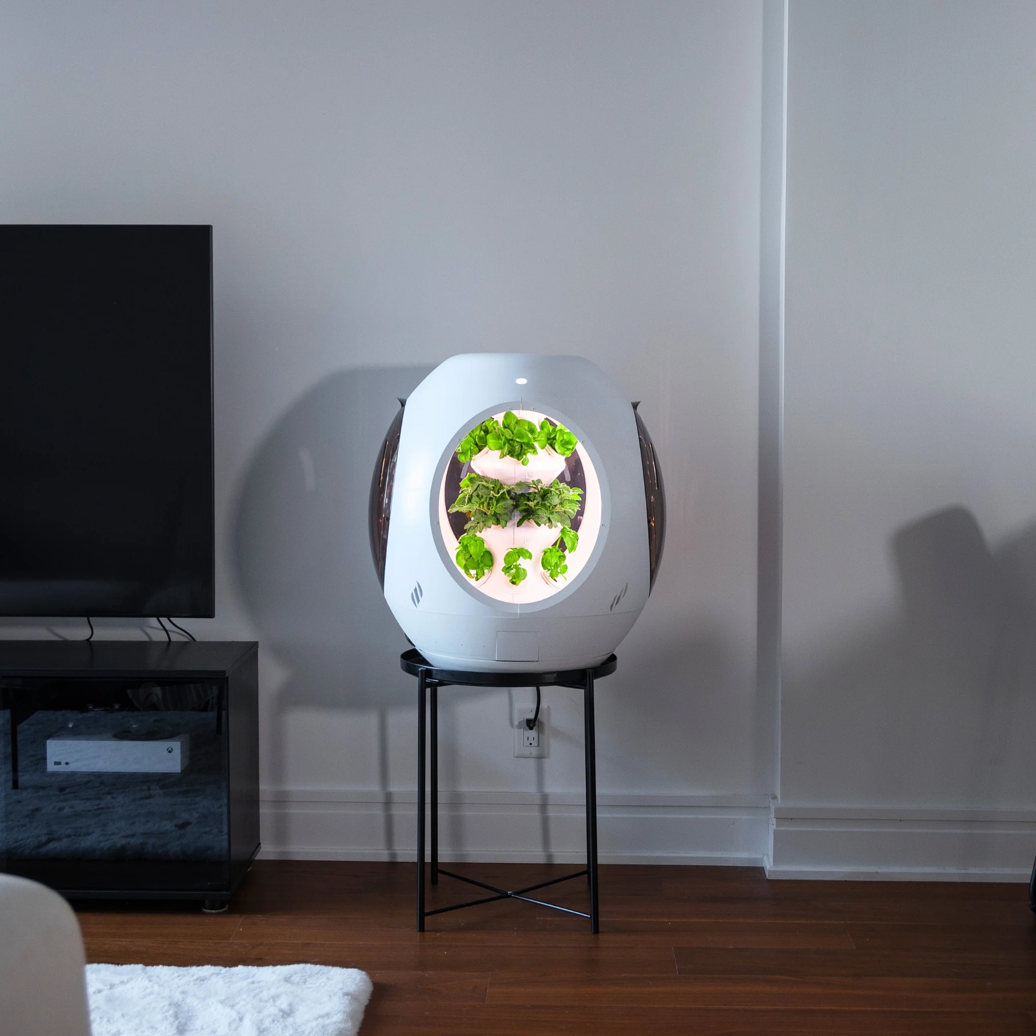 Smart Indoor Garden - Image 18