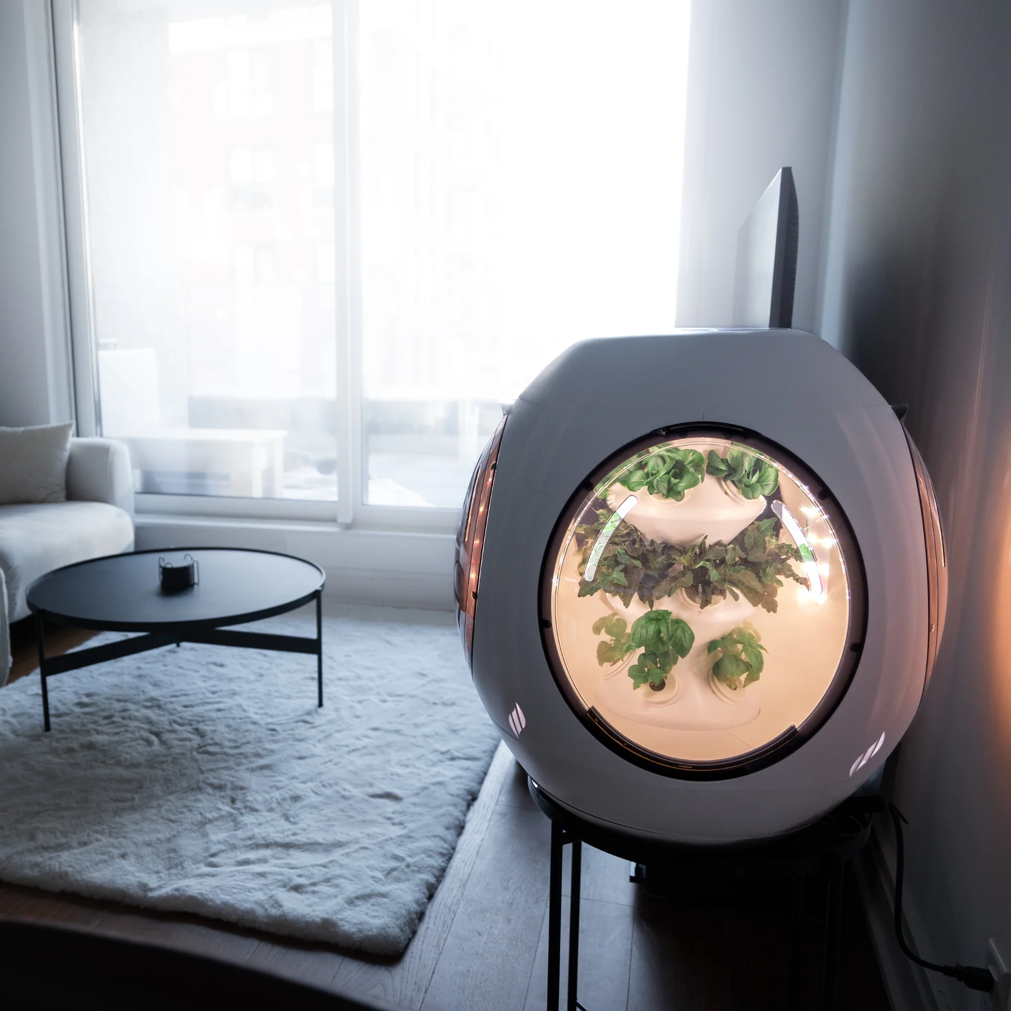 Smart Indoor Garden - Image 19