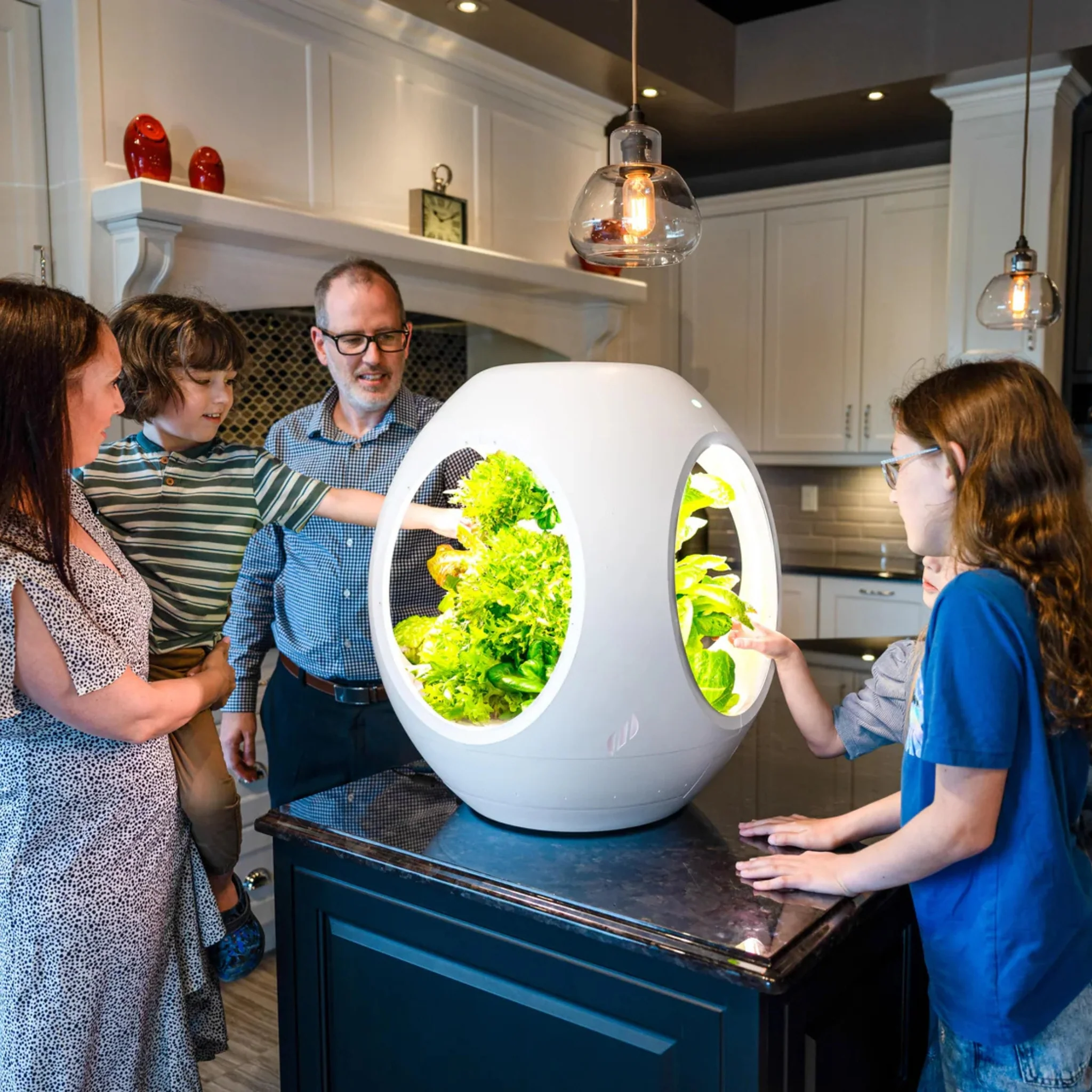 Smart Indoor Garden - Image 20