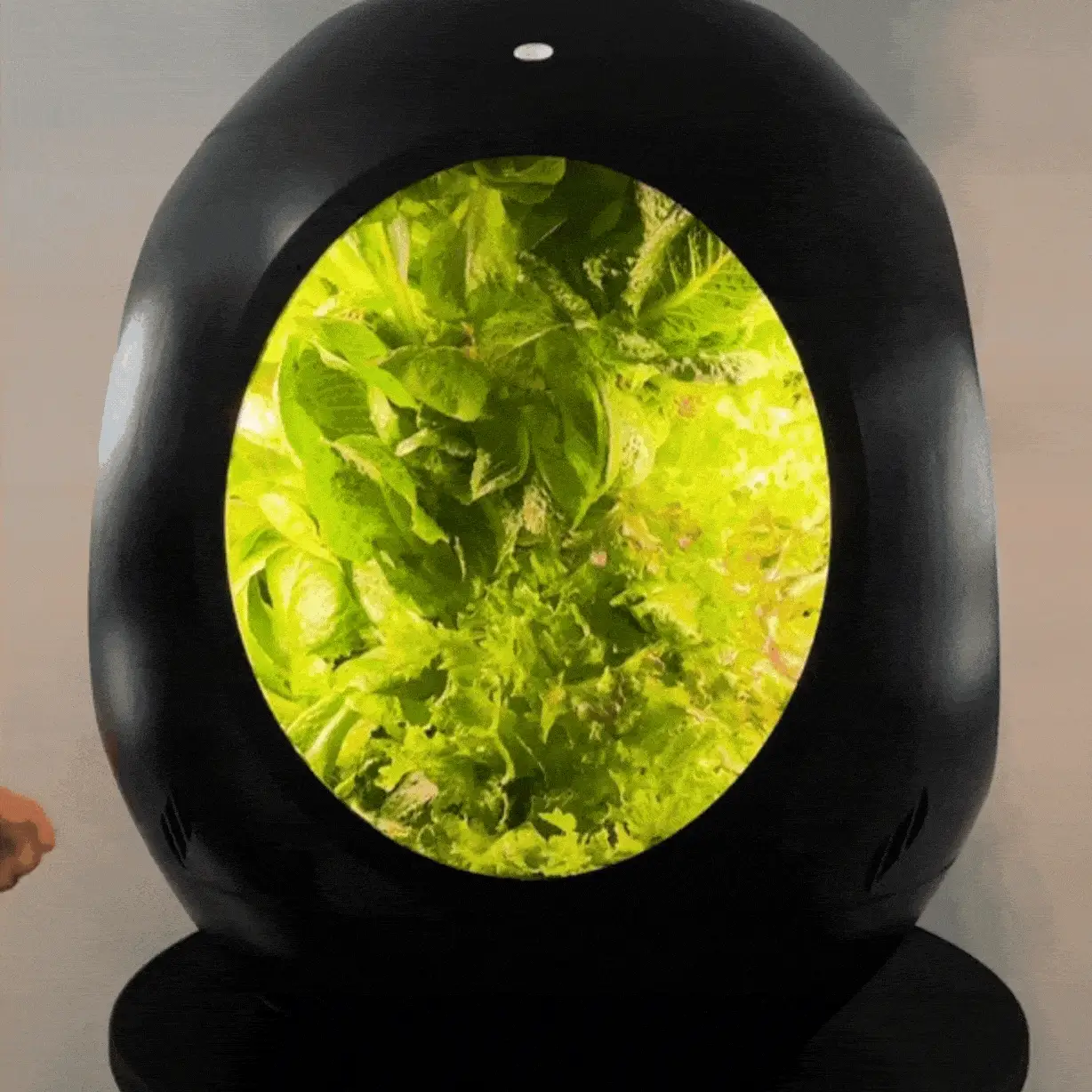 Smart Indoor Garden - Image 3
