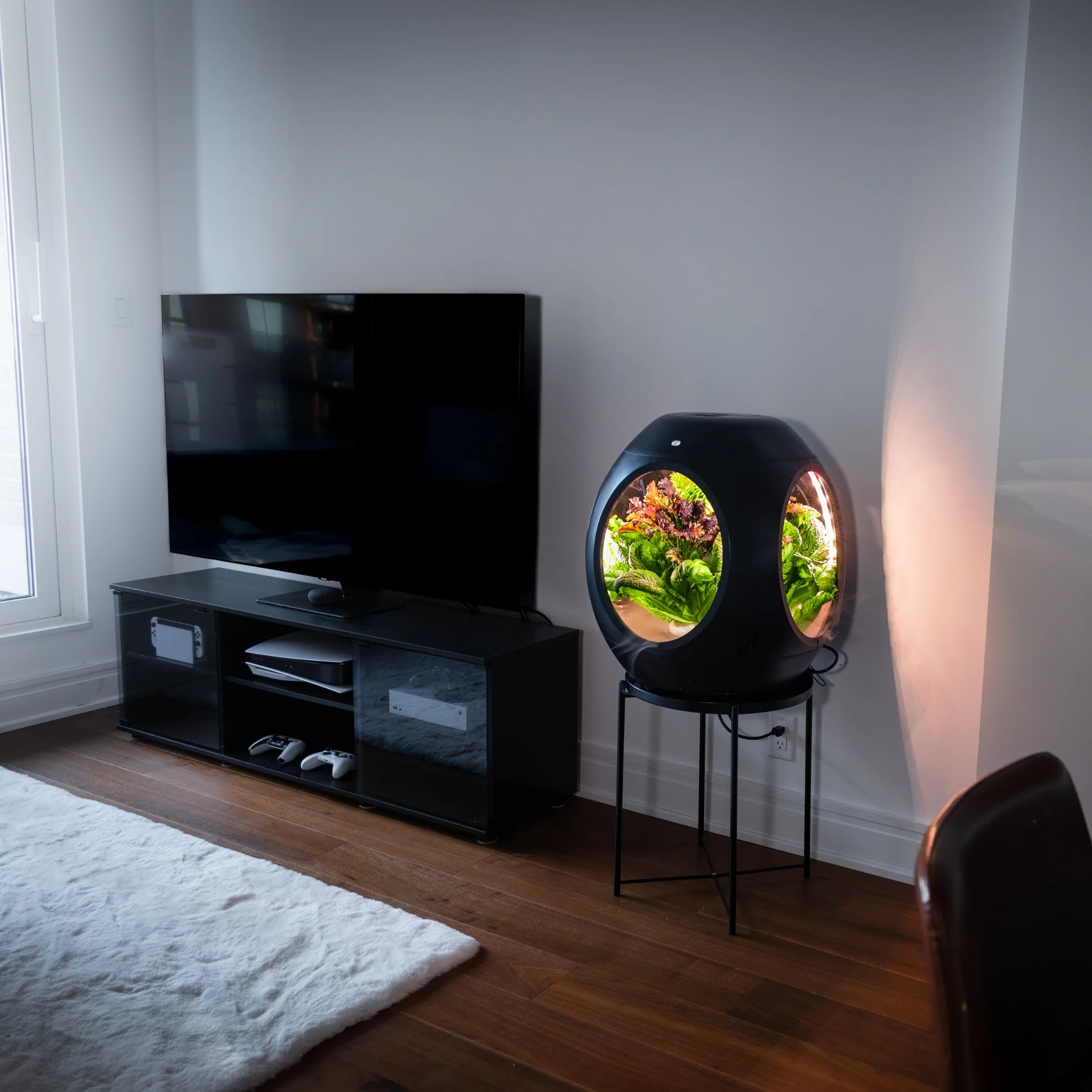 Smart Indoor Garden - Image 12