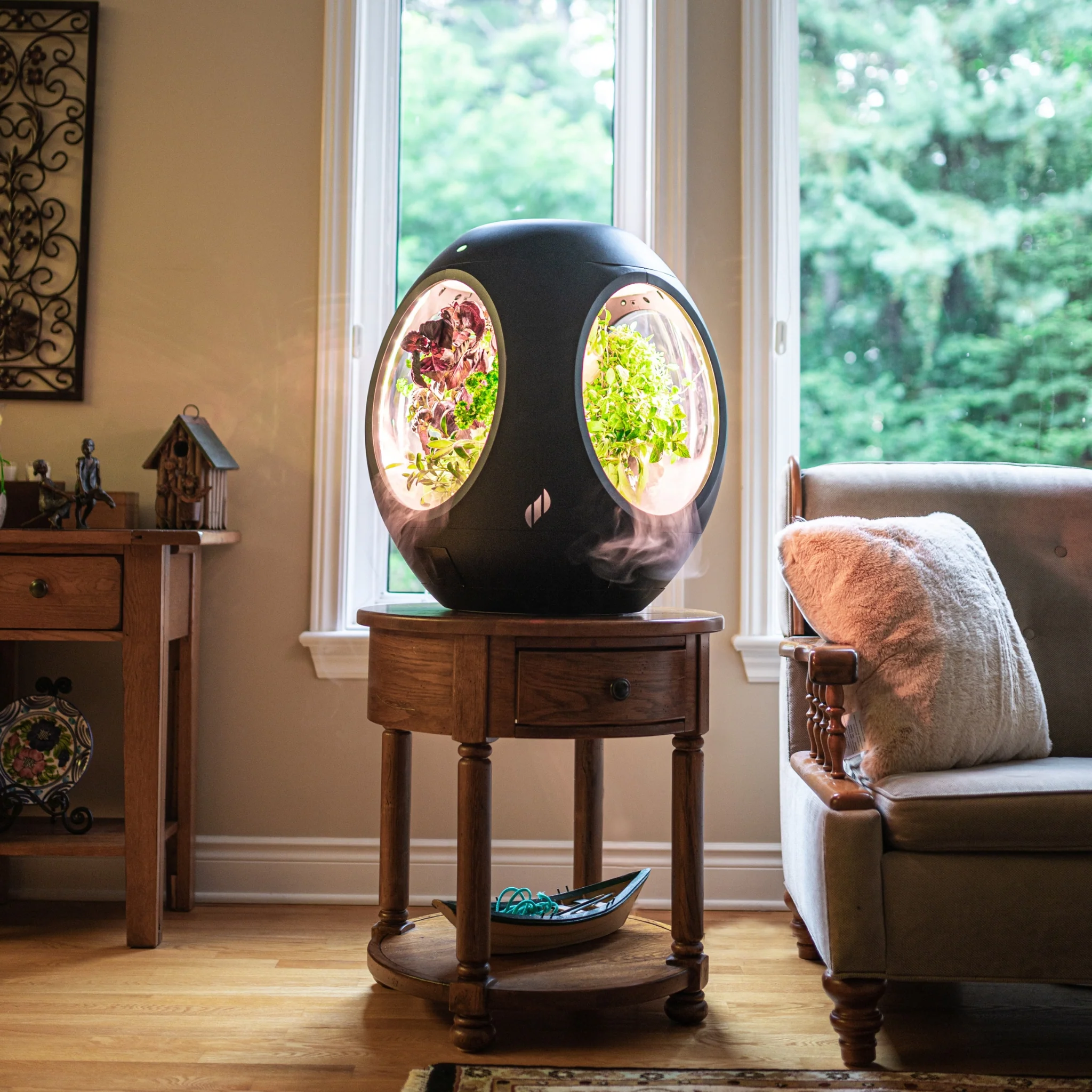 Smart Indoor Garden - Image 13