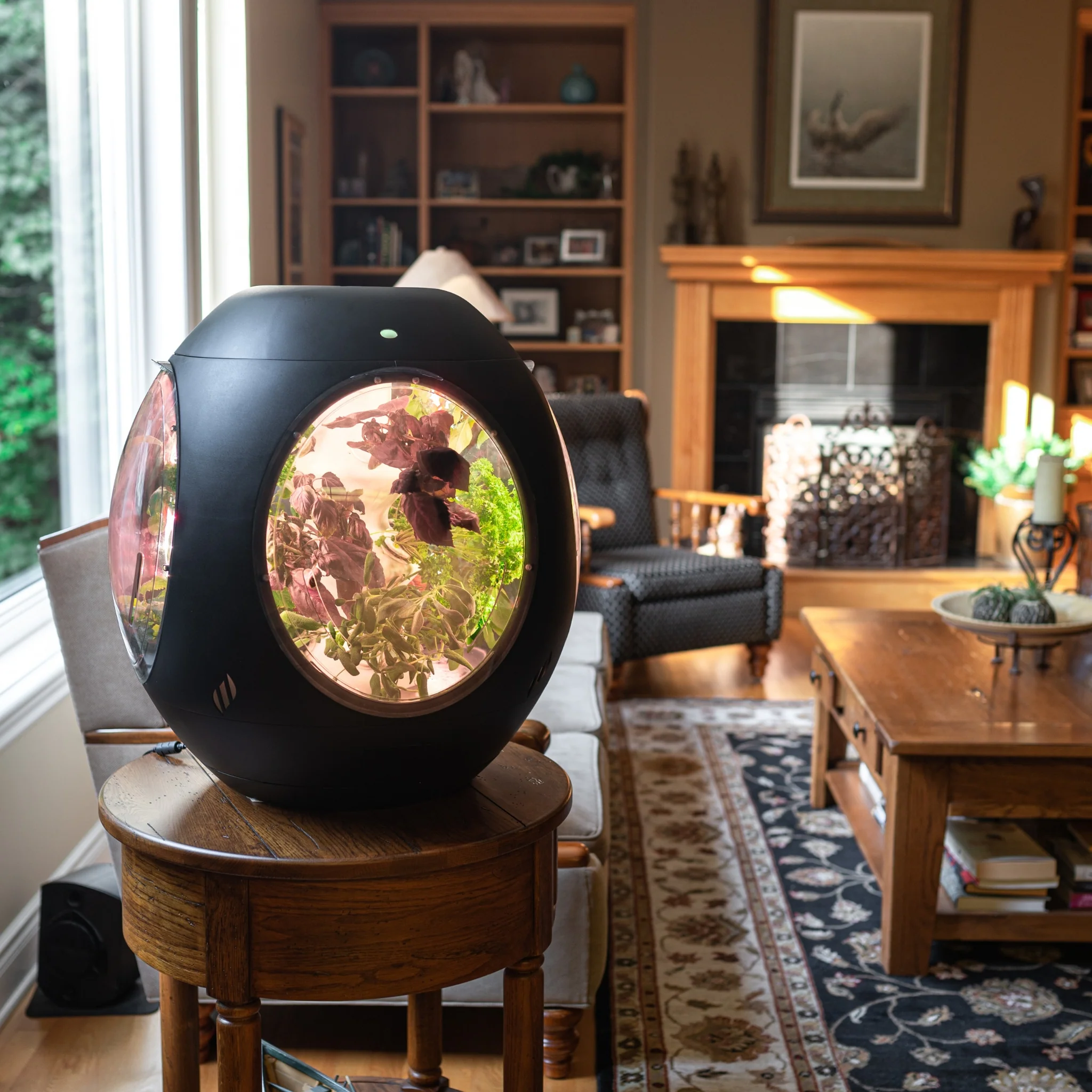 Smart Indoor Garden - Image 14