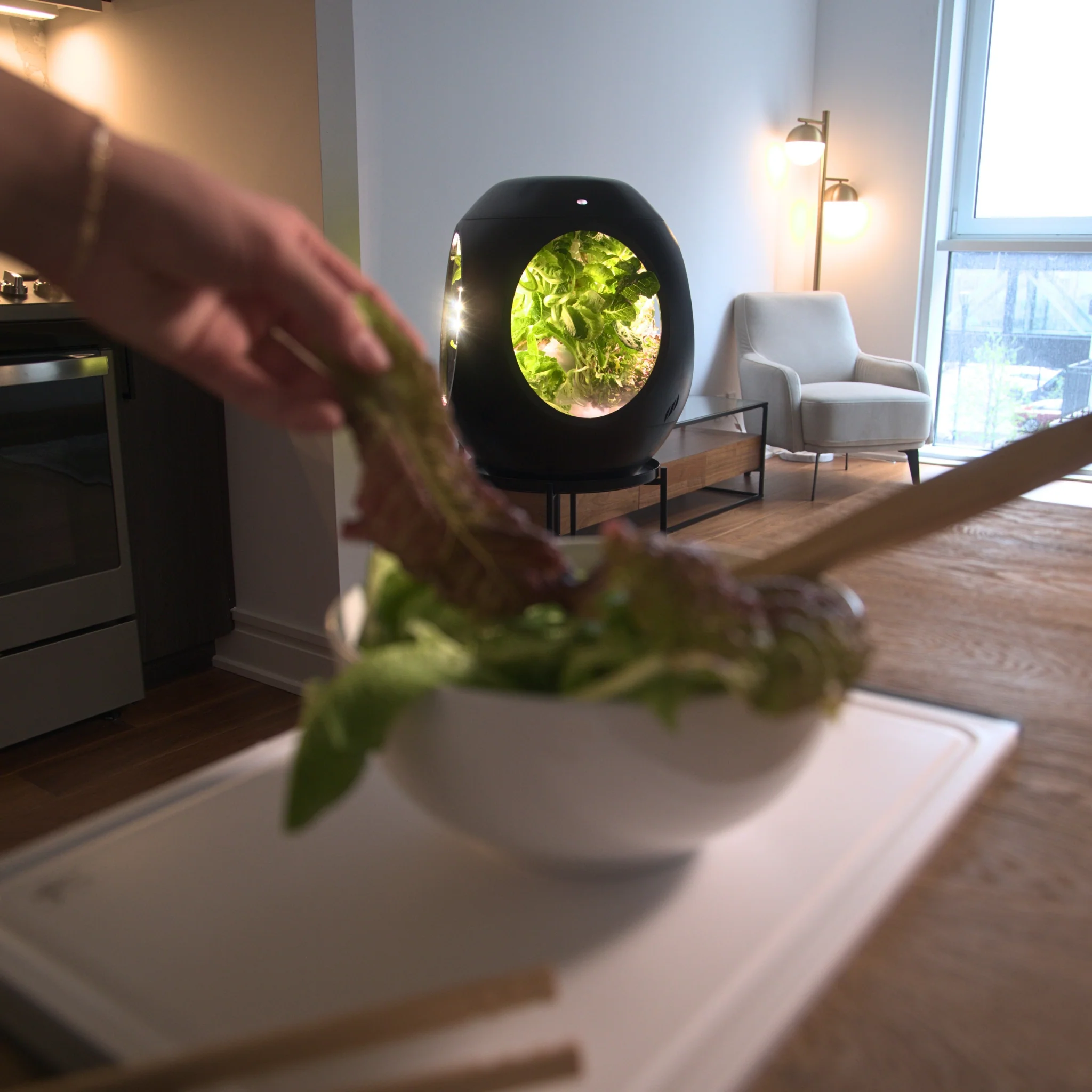 Smart Indoor Garden - Image 15