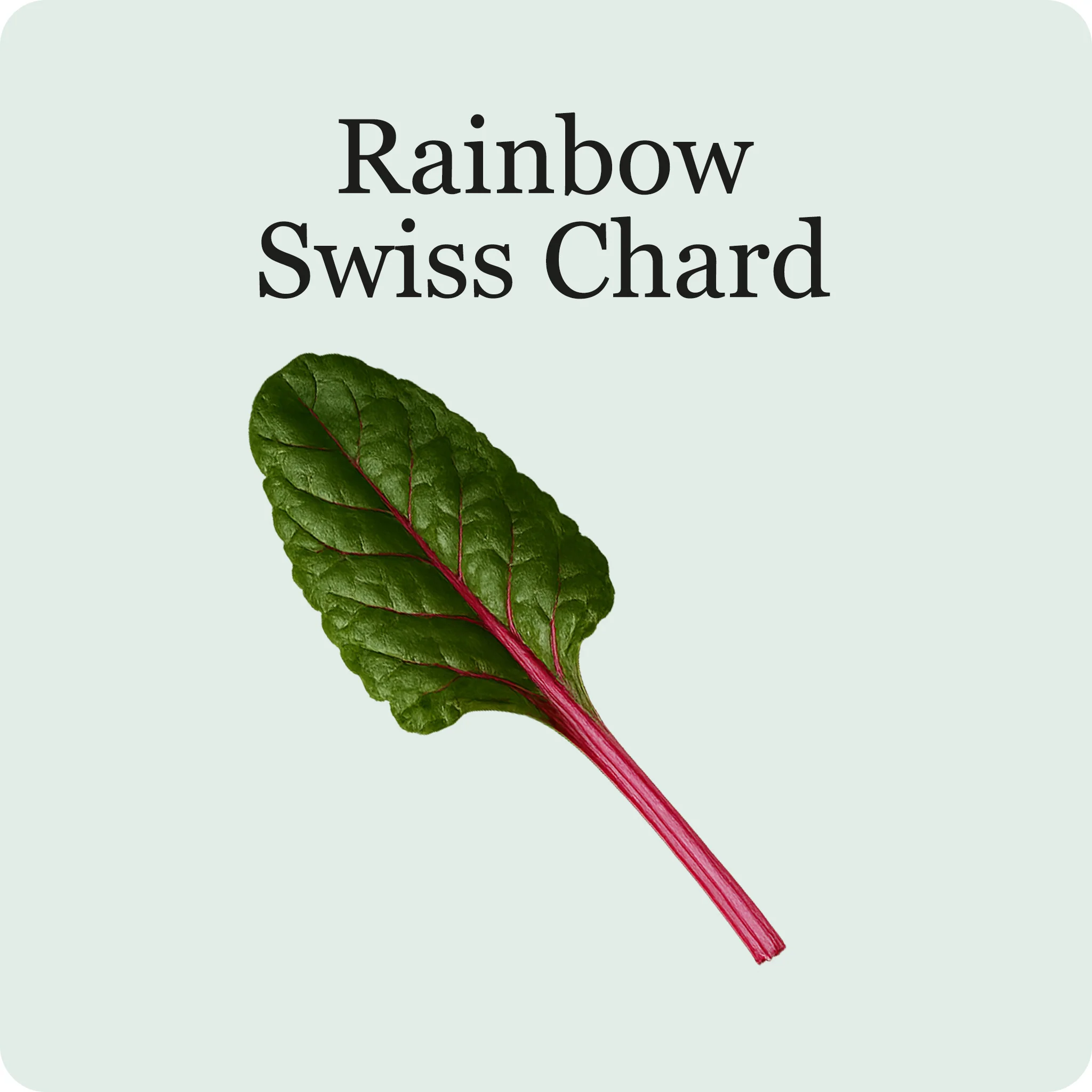 Superfood Salad Mix - Image 3