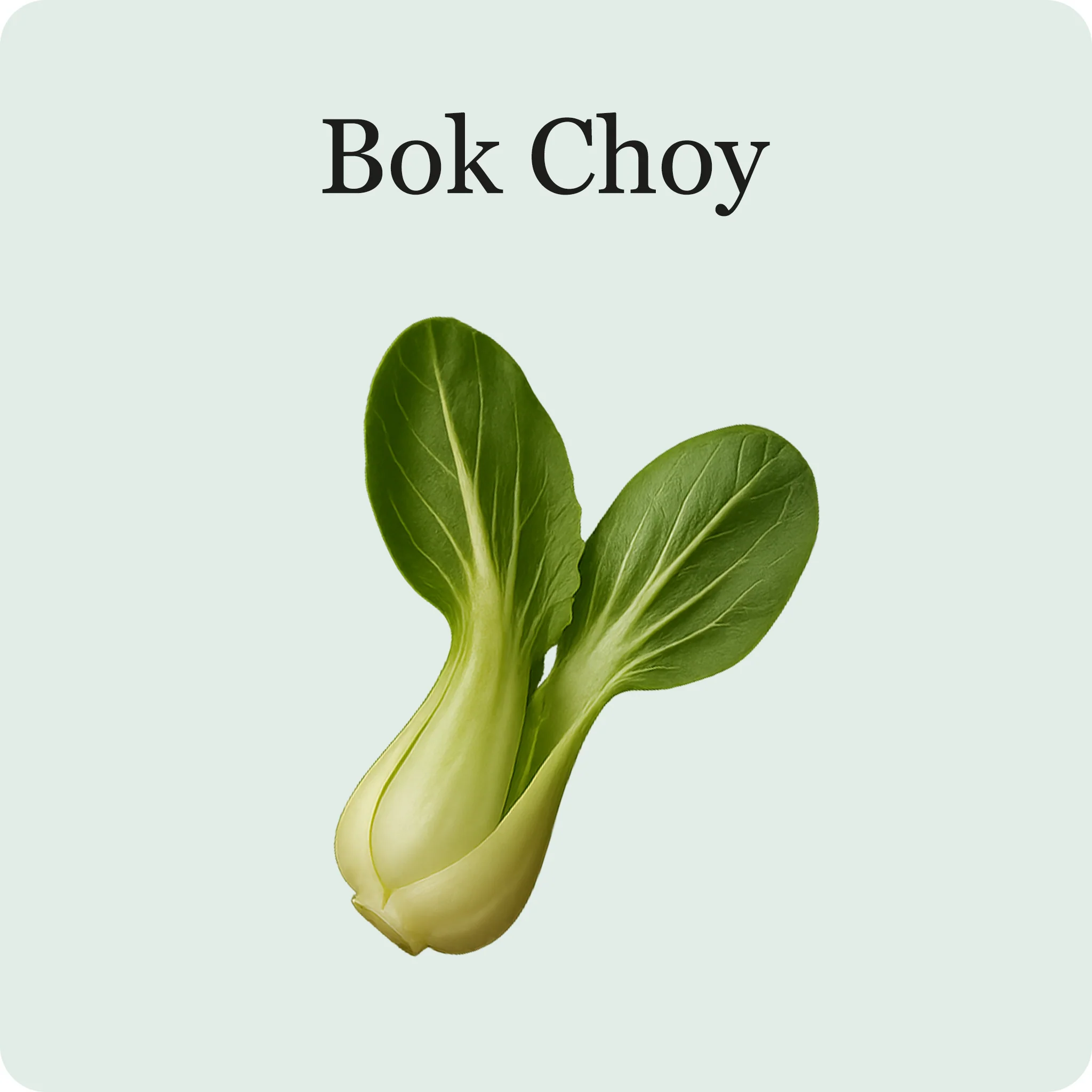 Superfood Salad Mix - Image 4